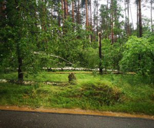 Burze, ulewy i wichury w Śląskiem. Interwencje straży pożarnej [ZDJĘCIA, 24.06.2021]