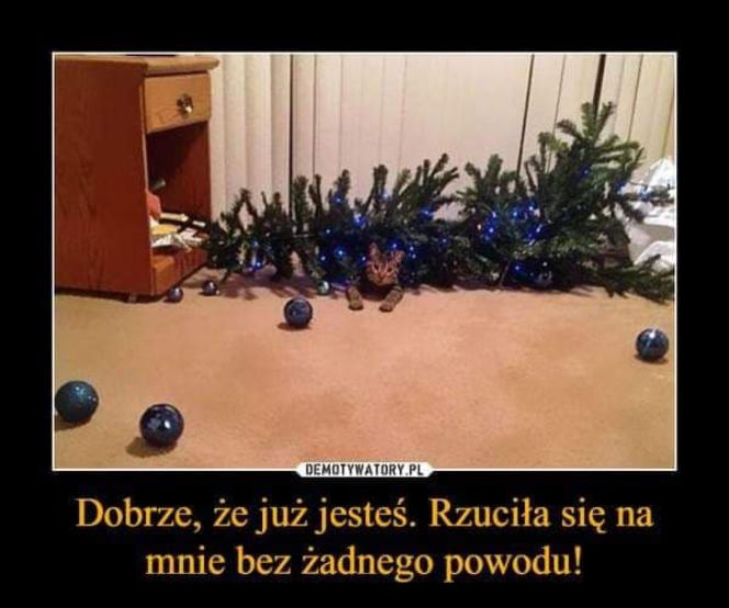Memy na święta 2018