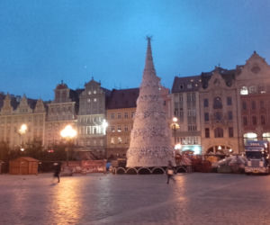 Choinka na wrocławskim rynku