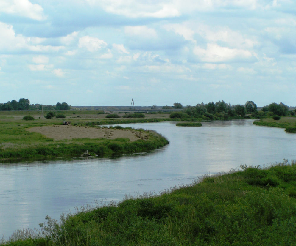 Makabryczne odkrycie nad Wartą