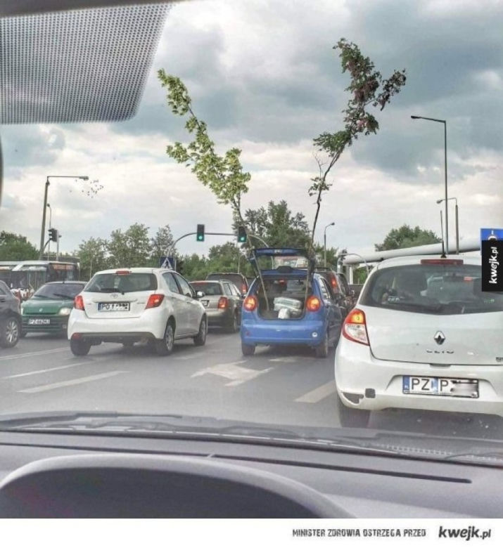 Tak internet się śmieje się z Poznania! Zobacz najlepsze MEMY!