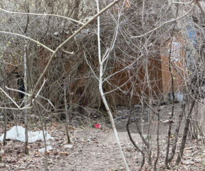 Wielkanocna awantura na ogórdkach działkowych. W ruch poszedł nóż