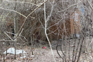 Wielkanocna awantura na ogórdkach działkowych. W ruch poszedł nóż