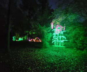 Otwarcie parku iluminacji w Poznaniu