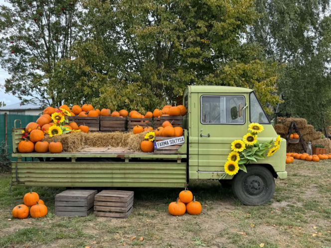 Farma Sołtysa w Wąchocku już otwarta. Nowa atrakcja dla rodzin przyciągnęła pierwszych gości