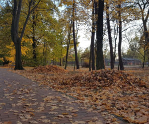 Park 1000-lecia w Lesznie na chwilę przed zachodem słońca