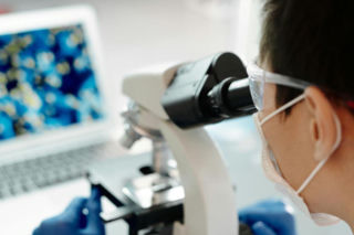 QUIZ: Jak dobry jesteś z biologii? Co pamiętasz z czasów szkolnych