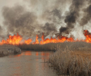 Pożar w Biebrzańskim Parku Narodowym
