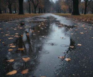 Pogoda we Wrocławiu pokaże dwa oblicza. Weekend nie dla wszystkich skończy się pogodnie