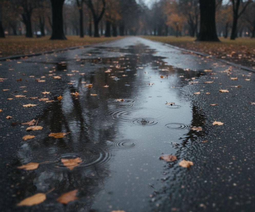 Kałuża na asfaltowej ścieżce w parku podczas deszczu. O ochłodzeniu we Wrocławiu przeczytasz na SE Wrocław.