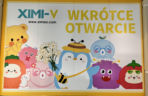XIMI-V w Polsce