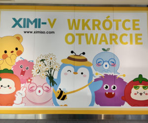 XIMI-V w Polsce