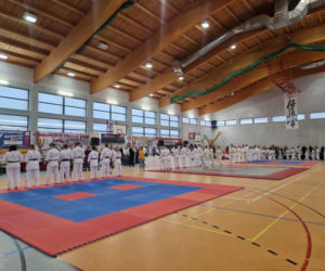 V Kyokushin Cup