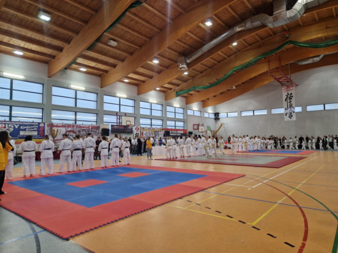V Kyokushin Cup