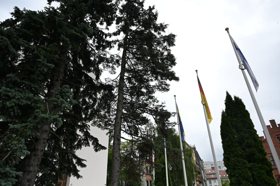 Cyfrowa inwentaryzacja drzew w Kołobrzegu