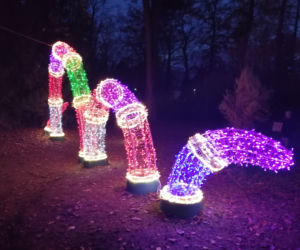 Park Iluminacji w Poznaniu