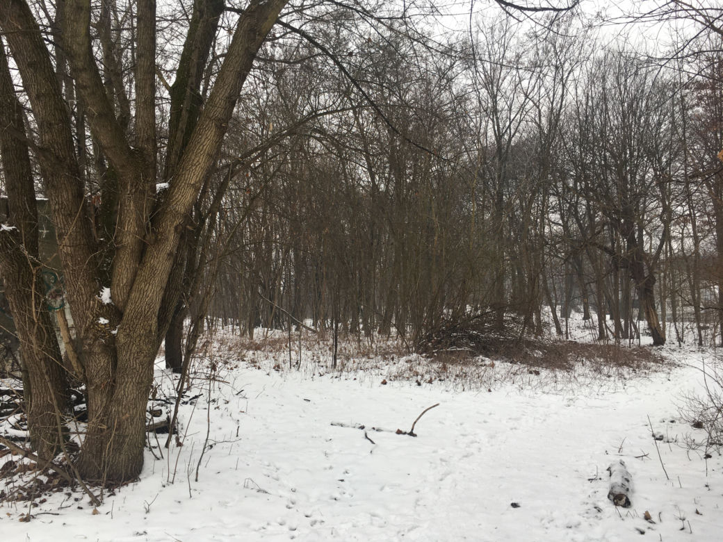 Tutaj znaleźli martwą Madzię