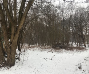 Tutaj znaleźli martwą Madzię