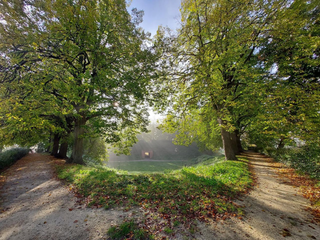 Zamojski Park jesienią