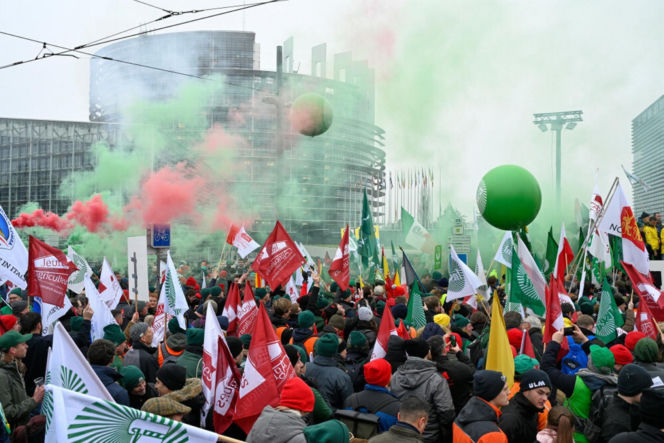Wielkie protesty rolników w Europie! Zatrzymano Polaków