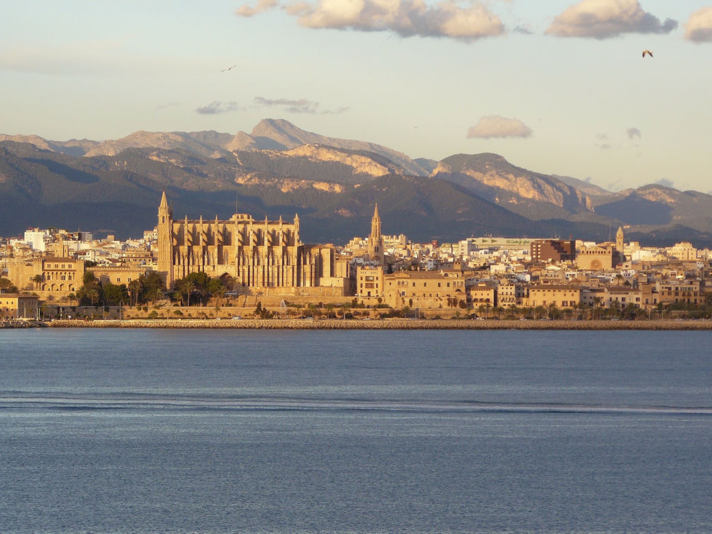 Palma