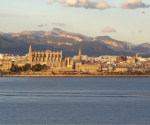 Palma