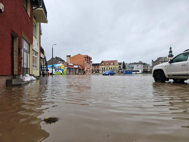 Zalane Nowe Miasto Lubawskie