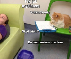 Dzień Kota 2020