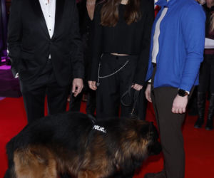 Gwiazdy na ramówce TVP