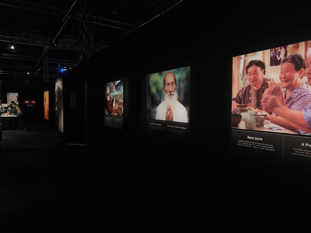Wystawa Body Worlds w Szybie Wilson w Katowicach