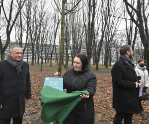 Powstańcy zapuścili korzenie. 20 drzew dla bohaterów w parku na Woli