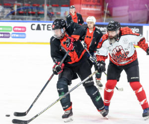 Mecz hokejowy Reprezentacji Artystów Polskich i Przedsiębiorców