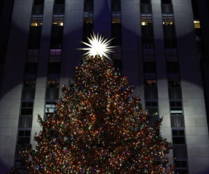 Choinka w nowojorskim Rockefeller Center rozbłysła! Robi ogromne wrażenie [ZDJĘCIA]