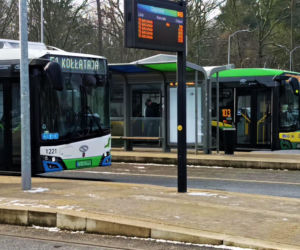 Rzeźby ze śniegu na pętli Głębokie