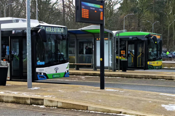 Rzeźby ze śniegu na pętli Głębokie