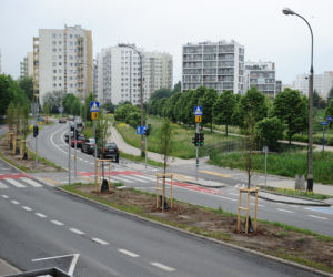 Przy Balatonie zielono! Posadzono drzewa i ogrody deszczowe