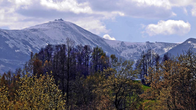 Śnieżka