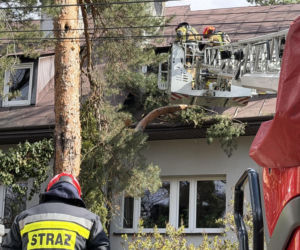 Wichury nad Warszawą. Powalone drzewa i awarie prądu w regionie