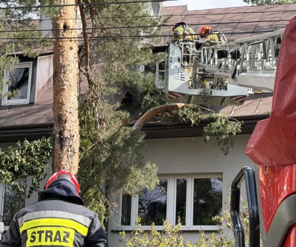 Potężne wichury nad Warszawą. Drzewa runęły na blok i dwa domy