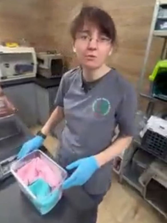Orzesznica Calineczka przez chorobę skóry śpi w czapce