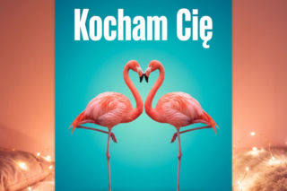 Kartki na Walentynki 2026 do ściągnięcia. Najlepsze życzenia walentynkowe