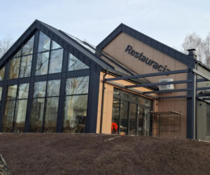 Zobacz jak zmienia się otoczenie Dębu Bartek w Zagnańsku