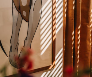 Spotkanie kultur w łódzkim mieszkaniu