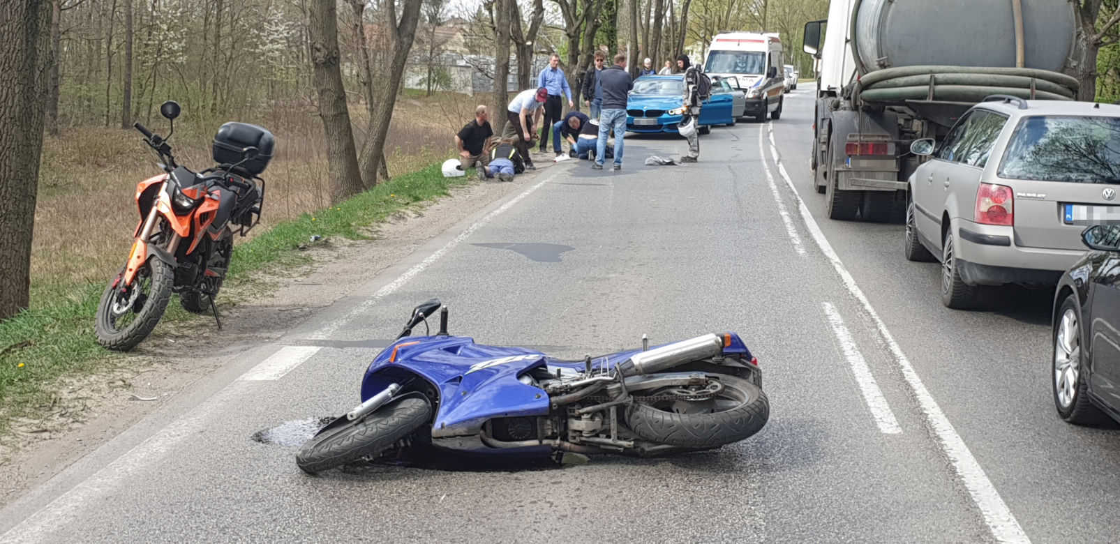 Łoś uderzył w motor przed rondem w Zielonce 