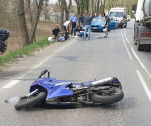 Łoś uderzył w motor przed rondem w Zielonce 