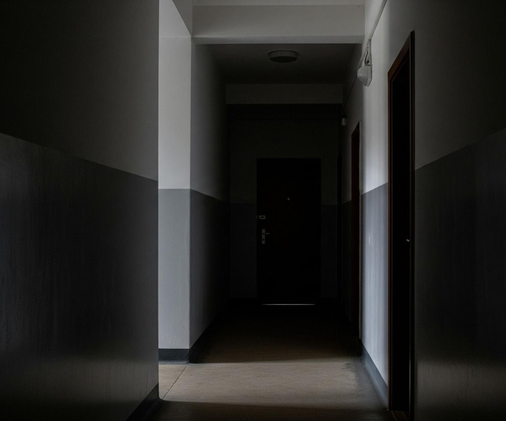 Długi, wąski korytarz rozciąga się w głąb obrazu, z dwiema ścianami bocznymi i sufitem. Dolna część ścian bocznych i sufit są pomalowane na ciemnoszary kolor, przechodząc w biały w górnej części. Na końcu korytarza widać ciemne drzwi z jasnym paskiem światła u dołu, a nad nimi okrągłą lampę sufitową. Po prawej stronie widać częściowo otwarte drzwi w ciemnej futrynie, a na ścianie obok nich białą skrzynkę i przewody.