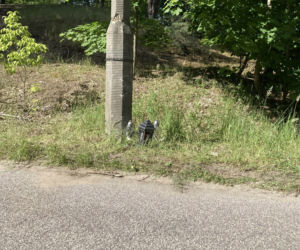 Artur zginał 200 m od domu. Wielka tragedia w Toruniu
