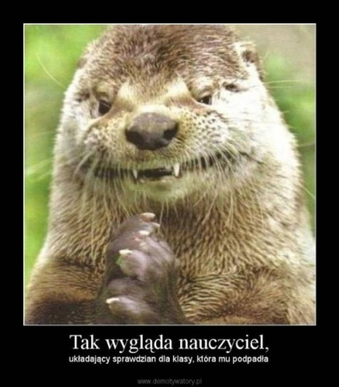 Memy o szkole