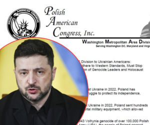 Amerykańska Polonia z apelem do władz w Kijowie. „ Ukraina musi przestrzegać zachodnich standardów”