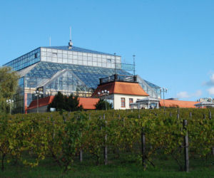 Palmiarnia Zielonogórska